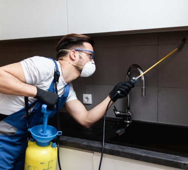 Chris Pest Control Port Melbourne Milestone